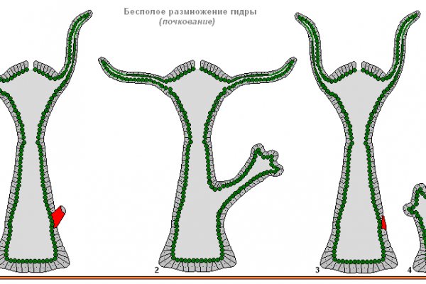 Кракен даркнет площадка ссылка