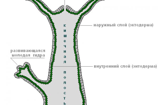 Как восстановить пароль кракен