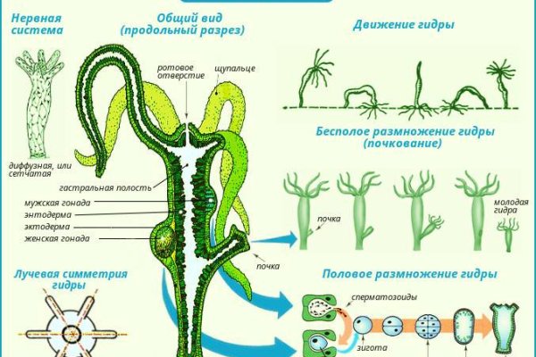 Покупки на кракене даркнет