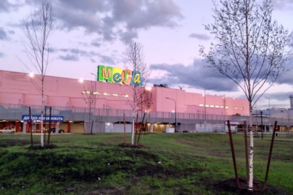 Даркнет каталог