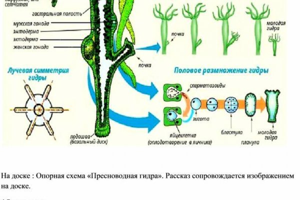 Кракен переходник ссылка