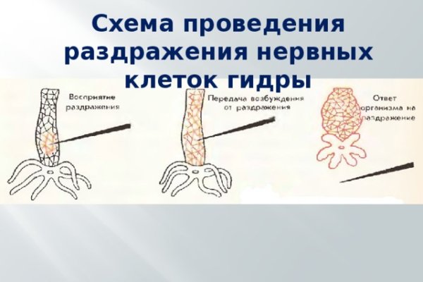 Кракен сайт 1kraken me официальный