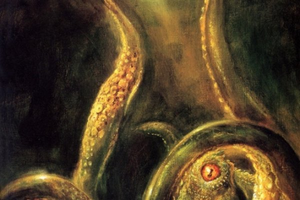 Kraken 12 at