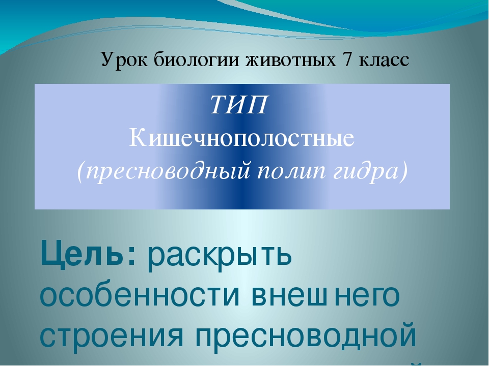 Кракен сегодня сайт зеркало